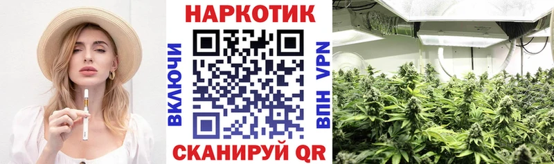 Купить наркотики цена Балашиха Конопля Мефедрон СК ОМГ ОМГ зеркало Гашиш