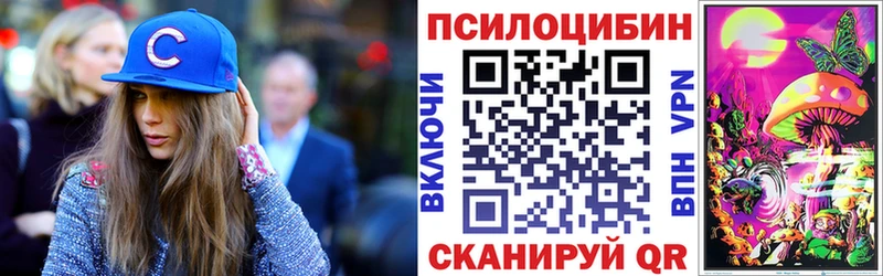 Псилоцибиновые грибы Psilocybine cubensis  мега рабочий сайт  Балашиха  купить наркотики цена 